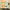 https://res.cloudinary.com/billionhands/image/upload/v1777417836/items/f4d1ggj6xw6ip4eaufzx.jpg-1cover