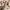 https://res.cloudinary.com/billionhands/image/upload/v1777418426/items/ryadwnnfwdjj4mjlqekn.jpg-3cover