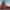 https://res.cloudinary.com/billionhands/image/upload/v1777421043/items/uckyksjnq2cpsnccoaw6.avif-1cover