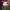 https://res.cloudinary.com/billionhands/image/upload/v1777422657/items/uko2qhwyamw5djnxz3dh.jpg-1cover