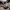 https://res.cloudinary.com/billionhands/image/upload/v1777425759/items/xrhztykxfpe7acdfexki.jpg-3cover
