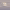 https://res.cloudinary.com/billionhands/image/upload/v1777426895/items/x8mrmkvc9927f4hnfuxz.webp-0cover