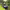 https://res.cloudinary.com/billionhands/image/upload/v1777429430/items/cqqn1azpgdqfdzvutcni.jpg-1cover