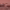 https://res.cloudinary.com/billionhands/image/upload/v1777430752/items/dp0uojhlfgqq6tcjfkvm.webp-0cover