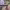 https://res.cloudinary.com/billionhands/image/upload/v1777432403/items/kumcyrlfncrloosgr5rh.jpg-0cover