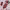 https://res.cloudinary.com/billionhands/image/upload/v1777437476/items/zunieuiiszlsun8gdmav.jpg-2cover