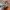 https://res.cloudinary.com/billionhands/image/upload/v1777438460/items/ypjavoy6xxmzmgmlc7vw.jpg-2cover