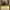 https://res.cloudinary.com/billionhands/image/upload/v1777440559/items/ajaeq2t5wzzx9gtkm7ml.png-2cover