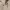 https://res.cloudinary.com/billionhands/image/upload/v1777444041/items/yieizjhlg4zzypzlftsv.jpg-3cover