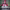 https://res.cloudinary.com/billionhands/image/upload/v1777445579/items/d0gek3tcgyplvsh9gcya.jpg-3cover
