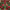 https://res.cloudinary.com/billionhands/image/upload/v1777446397/items/soiv1vrepjzd9ze5afkq.jpg-2cover
