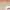 https://res.cloudinary.com/billionhands/image/upload/v1777447478/items/cshpzh9m6g5olxsol5mx.webp-1cover