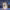 https://res.cloudinary.com/billionhands/image/upload/v1777451833/items/i5y2za4a1pa23zjaifgr.jpg-3cover