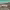 https://res.cloudinary.com/billionhands/image/upload/v1777453405/items/dqurhu1upajgnwqalhhm.jpg-0cover