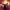 https://res.cloudinary.com/billionhands/image/upload/v1777454475/items/c0paqydnnlhinpfs4xcu.jpg-2cover