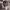https://res.cloudinary.com/billionhands/image/upload/v1777456782/items/n7fulgxhtzr36qfqmsgr.jpg-1cover