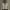 https://res.cloudinary.com/billionhands/image/upload/v1777456788/items/t9zazs5grgnfwldsscm5.webp-3cover