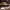 https://res.cloudinary.com/billionhands/image/upload/v1777457769/items/b1zeps928fowcaxwnrva.jpg-3cover