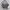 https://res.cloudinary.com/billionhands/image/upload/v1777457774/items/osxeapig68mzclto5xdi.jpg-3cover