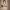 https://res.cloudinary.com/billionhands/image/upload/v1777458588/items/sdfk0hzumro5gxa4pnhv.webp-2cover
