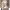 https://res.cloudinary.com/billionhands/image/upload/v1777458604/items/o3rwzdph4ylvsb4tf2n0.webp-1cover