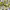 https://res.cloudinary.com/billionhands/image/upload/v1777459477/items/h1ju6obh0f3crxekydqz.png-2cover