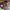 https://res.cloudinary.com/billionhands/image/upload/v1777459841/items/wjmnnoagtigzbukzy4dh.jpg-0cover