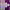 https://res.cloudinary.com/billionhands/image/upload/v1777461658/items/ltqikno6verkjxwh5w4n.gif-1cover