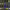https://res.cloudinary.com/billionhands/image/upload/v1777467721/items/tat000zzijevz3xqc1od.jpg-3cover