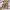 https://res.cloudinary.com/billionhands/image/upload/v1777467752/items/hqc193p2ycdjc3vqatfd.webp-2cover