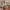 https://res.cloudinary.com/billionhands/image/upload/v1777467753/items/dg00u74hhndqhs9v25ht.jpg-1cover