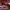 https://res.cloudinary.com/billionhands/image/upload/v1777469065/items/sitkyfxd79j8qqab1dz0.jpg-3cover