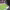 https://res.cloudinary.com/billionhands/image/upload/v1777469382/items/a4fhnnf4id0ufncxcrsn.jpg-2cover