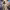 https://res.cloudinary.com/billionhands/image/upload/v1777473452/items/ra3mbf9qktgodbdhqurm.jpg-1cover