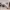 https://res.cloudinary.com/billionhands/image/upload/v1777475917/items/faadzhwdmsbgul49yikz.webp-1cover