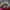 https://res.cloudinary.com/billionhands/image/upload/v1777476277/items/qmoimqjzoqy9rhxg0ofg.jpg-2cover