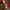 https://res.cloudinary.com/billionhands/image/upload/v1777476757/items/ugxtjfidc4d1swqekgra.jpg-1cover
