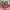https://res.cloudinary.com/billionhands/image/upload/v1777477967/items/py61jtzl92pigzin7ywo.webp-1cover