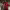 https://res.cloudinary.com/billionhands/image/upload/v1777480831/items/i5c6tycztrar3t117dz0.jpg-3cover