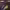 https://res.cloudinary.com/billionhands/image/upload/v1777482550/items/nsn1g41atjm4wxpsz7wt.jpg-3cover