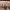 https://res.cloudinary.com/billionhands/image/upload/v1777485033/items/rgjjn1318lnbbgquymaf.jpg-3cover