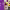 https://res.cloudinary.com/billionhands/image/upload/v1777485040/items/vwxapzibxtfwyyrvtvmj.webp-3cover