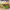 https://res.cloudinary.com/billionhands/image/upload/v1777485364/items/fpfv72tbloeotmkxted4.jpg-2cover