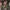https://res.cloudinary.com/billionhands/image/upload/v1777487099/items/kyz4n52mpkqsl1rsnjvw.webp-1cover