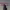 Boris Brejcha & Poppy Baskcomb - Red In The Desert (2025) cover