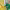 https://res.cloudinary.com/billionhands/image/upload/v1777491671/items/c4h1cyuov75otkdgffjf.webp-3cover