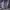 https://res.cloudinary.com/billionhands/image/upload/v1777494953/items/z7h4u4nhmarsz4xbjaxr.jpg-1cover