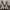 https://res.cloudinary.com/billionhands/image/upload/v1777496289/items/eca5pxfshdjrh7doksam.jpg-3cover
