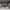 https://res.cloudinary.com/billionhands/image/upload/v1777496326/items/svwrexkhybttx5zzwu6y.jpg-2cover