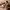 https://res.cloudinary.com/billionhands/image/upload/v1777499084/items/lvuwp5ko54uywyg91jhj.jpg-1cover
